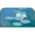 Waterlilies, Evening by Monet Nintendo Switch 2 (2025) with Joy-Con Skin